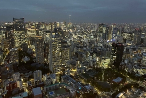 tour de la ciudad de tokio a pie visita tokio en un día