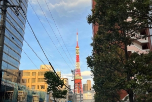 tour de la ciudad de tokio a pie visita tokio en un día