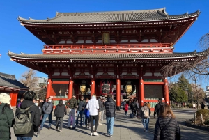 tour de la ciudad de tokio a pie visita tokio en un día