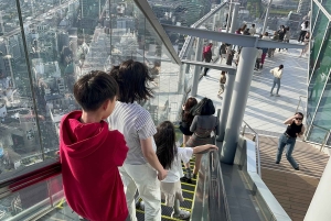 tour de la ciudad de tokio a pie visita tokio en un día