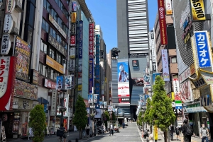 tour de la ciudad de tokio a pie visita tokio en un día