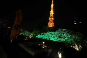 tour de la ciudad de tokio a pie visita tokio en un día