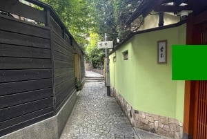 Tokyo: Exploración Cultural – Los Barrios Ocultos y la Vida Local