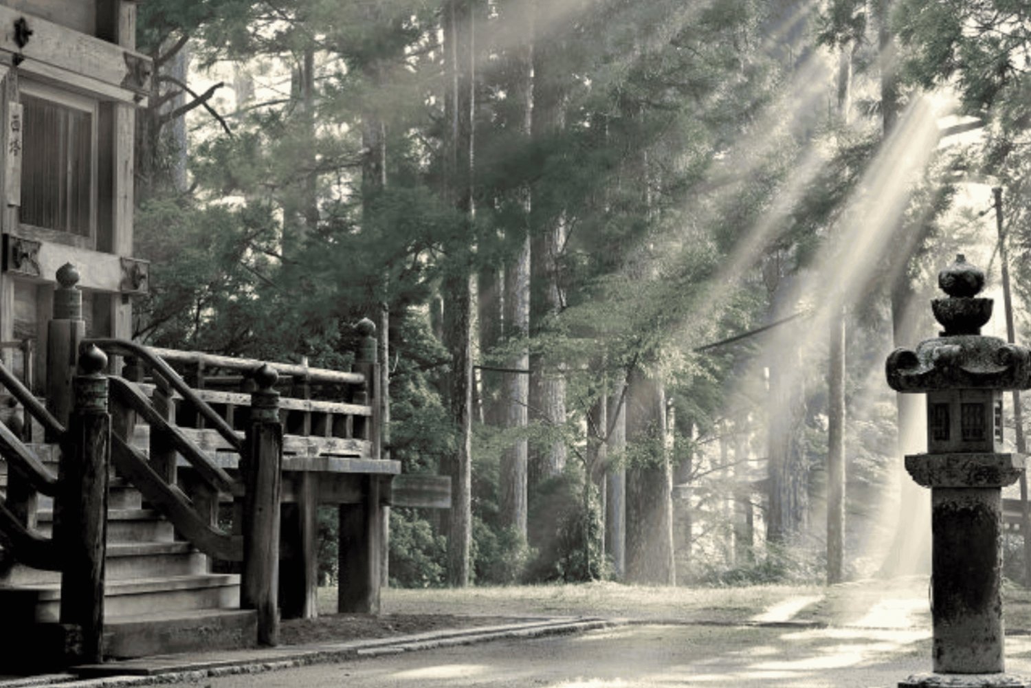 Tokio: Visita privada de un día a Nikko Unesco, personalizada e ineludible