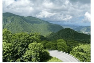 Tokio: Nikko Unesco Yksityinen päiväretki: Räätälöity unohtumaton Nikko Unesco Yksityinen päiväretki