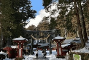 Tokio: Nikko Unesco Yksityinen päiväretki: Räätälöity unohtumaton Nikko Unesco Yksityinen päiväretki