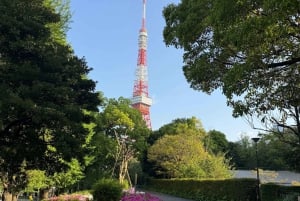 Tokyo: Tilpasset, underholdende og mindeværdig privat tur