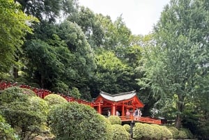 Tokyo: Tilpasset, underholdende og mindeværdig privat tur