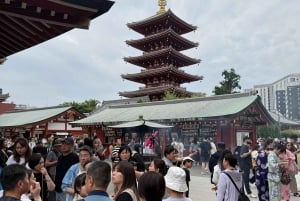 Tokyo: Tilpasset, underholdende og mindeværdig privat tur