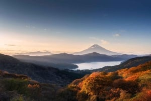 Från Tokyo: Berget Fuji och Hakone privat tur (lågt pris)