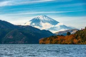 Från Tokyo: Berget Fuji och Hakone privat tur (lågt pris)