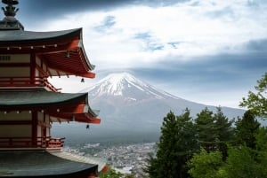 Från Tokyo: Berget Fuji och Hakone privat tur (lågt pris)
