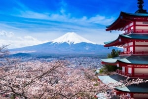 Från Tokyo: Berget Fuji och Hakone privat tur (lågt pris)