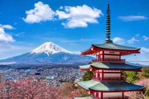Från Tokyo: Berget Fuji och Hakone privat tur (lågt pris)