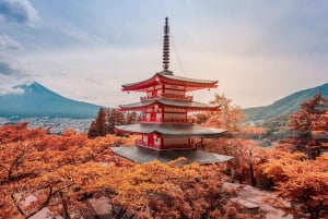 Från Tokyo: Berget Fuji och Hakone privat tur (lågt pris)