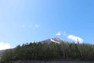 Från Tokyo: Berget Fuji och Hakone privat tur (lågt pris)