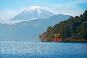 Från Tokyo: Berget Fuji och Hakone privat tur (lågt pris)