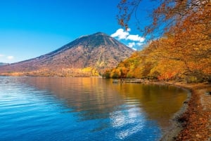 Från Tokyo: Berget Fuji och Hakone privat tur (lågt pris)
