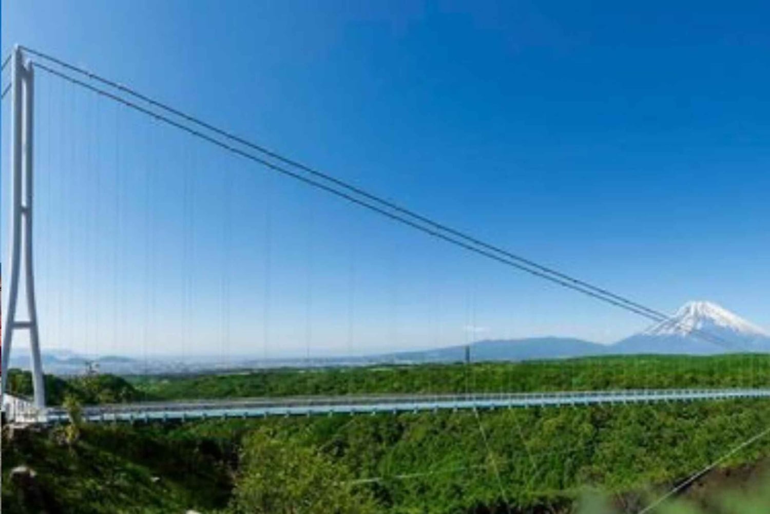 Токио: индивидуальная однодневная поездка на гору Фудзи и в сафари-парк