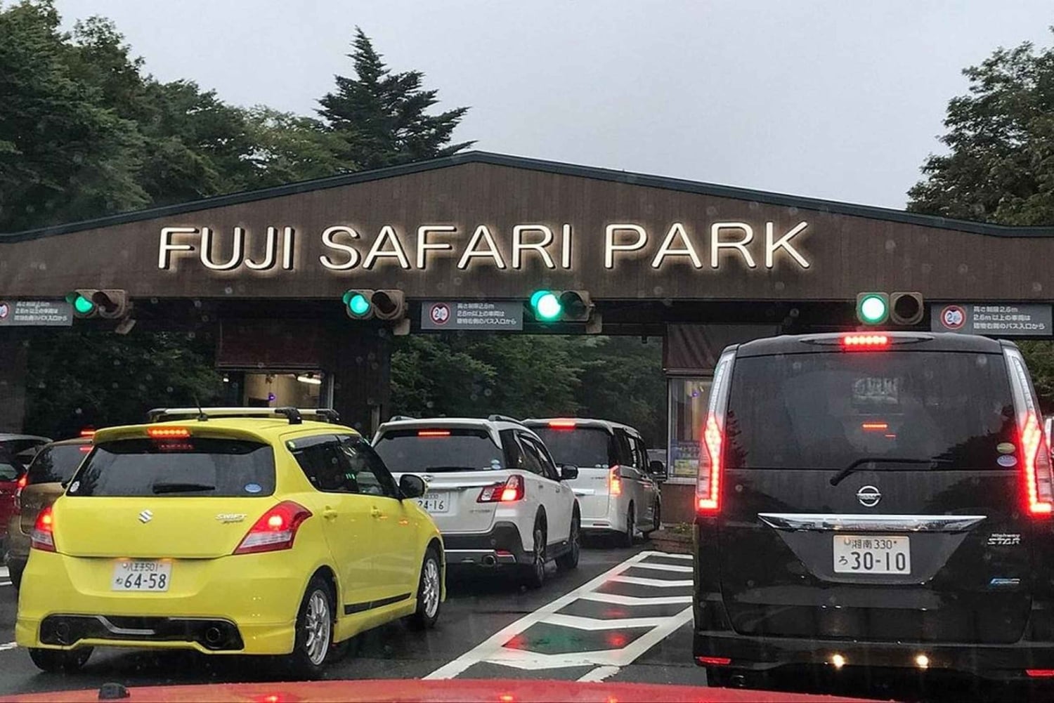 Токио: индивидуальная однодневная поездка на гору Фудзи и в сафари-парк