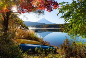 Tokyo: Tilpasset privat dagsudflugt til Mt. Fuji og Safari Park