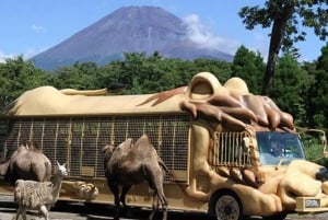 Tokyo: Tilpasset privat dagsudflugt til Mt. Fuji og Safari Park