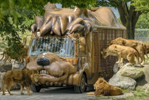 Tokyo: Tilpasset privat dagsudflugt til Mt. Fuji og Safari Park