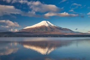 Tokyo: Tilpasset privat dagsudflugt til Mt. Fuji og Safari Park