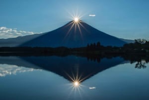 Tokyo: Tilpasset privat dagsudflugt til Mt. Fuji og Safari Park