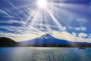 Tokyo: Tilpasset privat dagsudflugt til Mt. Fuji og Safari Park