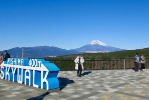 Токио: индивидуальная однодневная поездка на гору Фудзи и в сафари-парк