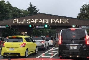 Токио: индивидуальная однодневная поездка на гору Фудзи и в сафари-парк