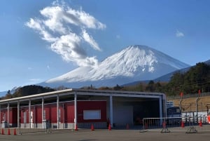 Токио: индивидуальная однодневная поездка на гору Фудзи и в сафари-парк
