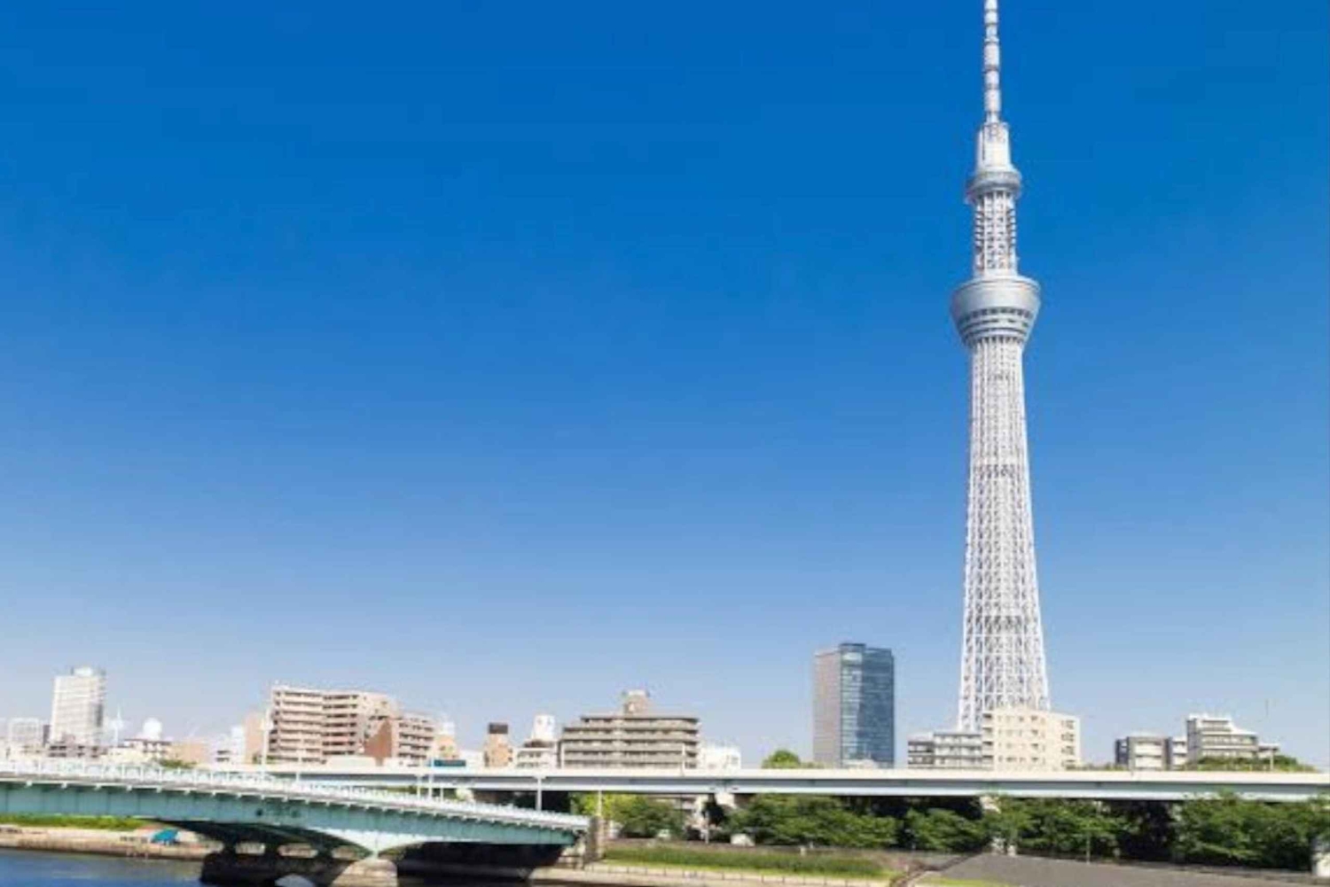 Tokio: Räätälöitävä yksityinen opastettu kävelykierros