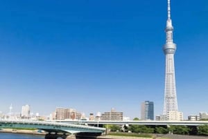 Tokyo: Customizable Private Guided Walking Tour