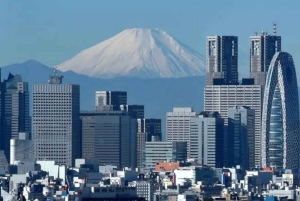 Tokio: Räätälöitävä yksityinen opastettu kävelykierros