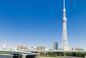 Tokio: Räätälöitävä yksityinen opastettu kävelykierros