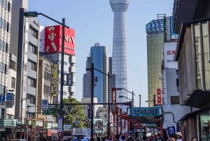 Tokio: Hidden Gems (piilotetut jalokivet) Opastettu pyöräretki lounaalla