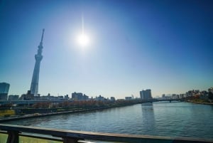 Tokio: Hidden Gems (piilotetut jalokivet) Opastettu pyöräretki lounaalla