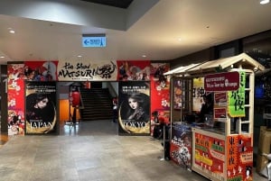 Прогулка с ужином, традиционное шоу, напитки и телебашня Токио