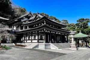 Tóquio: Excursão de um dia a Kamakura em inglês - Inglês