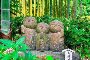 Tóquio: Excursão de um dia a Kamakura em inglês - Inglês