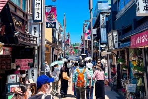 Tóquio: Excursão de um dia a Kamakura em inglês - Inglês