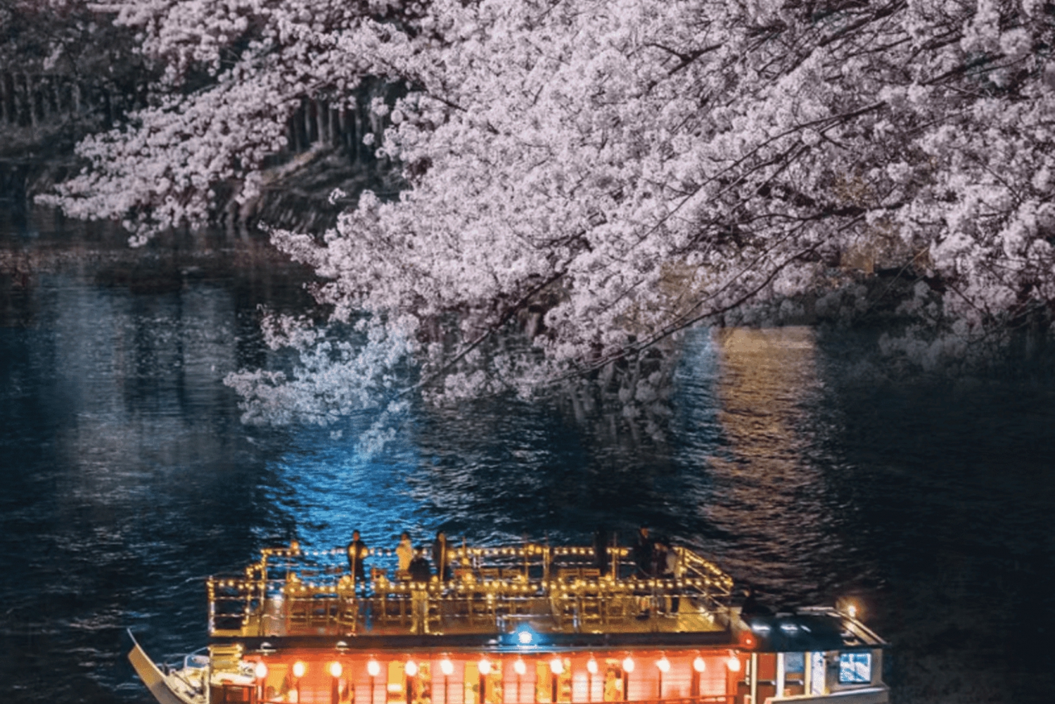 Tokyo: Crociera con cena e spettacolo Esclusiva della stagione della fioritura dei ciliegi