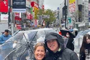 Tokyo: tour a piedi privato e personalizzato (inglese/spagnolo)