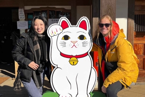 Tokyo: tour a piedi privato e personalizzato (inglese/spagnolo)