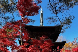 Tokyo: tour a piedi privato e personalizzato (inglese/spagnolo)