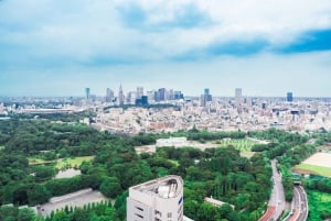 Tokyo: Oplev japansk politik over en kop kaffe