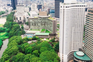 Tokyo: Oppdag japansk politikk over en kaffe