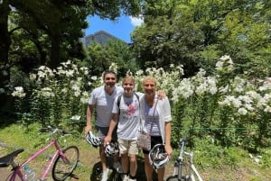 Tokyo: Oplev det traditionelle Tokyo på en heldagscykeltur